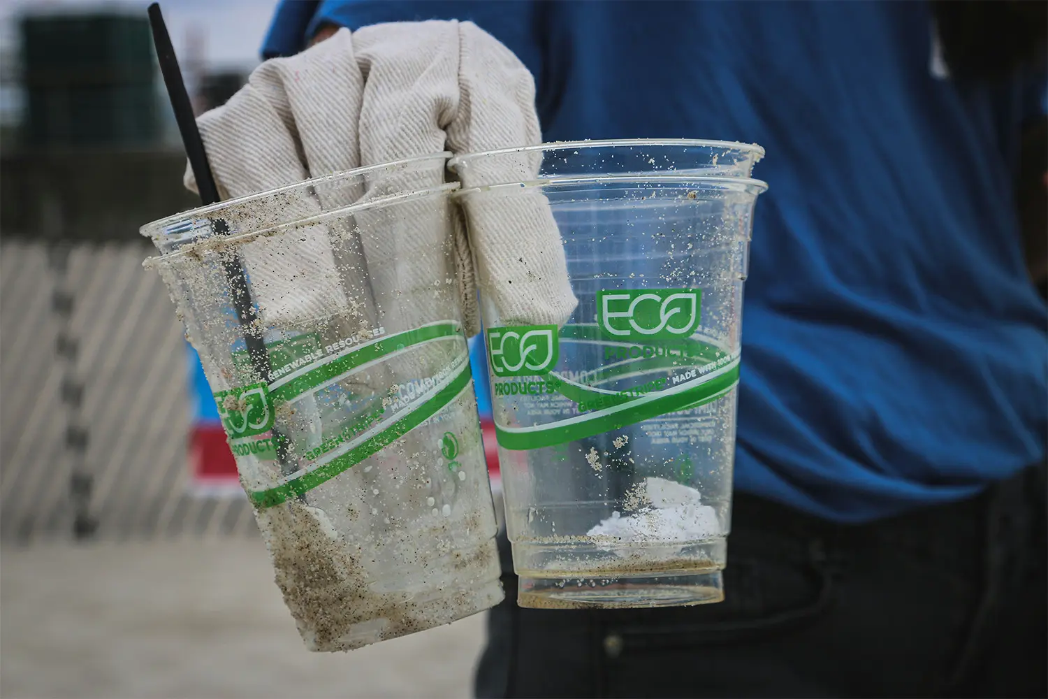 Eco Cups